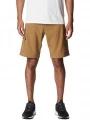 Silver Ridge Utility Cargo Short